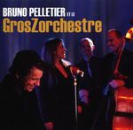 Bruno Pelletier - Guérir de toi