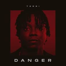 Terri - Danger