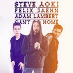 Steve Aoki - Can't go home